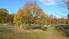 Park Bezrzecze