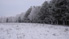 Park Bezrzecze
