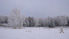 Park Bezrzecze